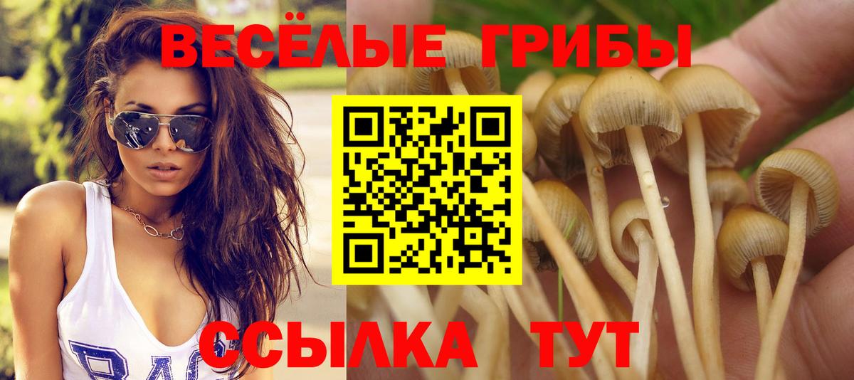 Галлюциногенные грибы Cubensis Михайловка