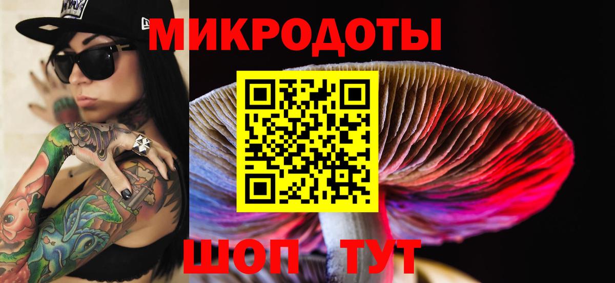 Псилоцибиновые грибы Psilocybe  Галлюциногенные грибы мицелий  Вход с VPN  Михайловка 